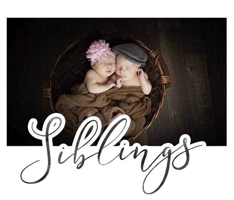 newborn twins photographer birmingham